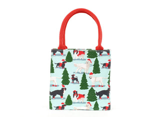 Reusable Itsy Bitsy Gift Bag