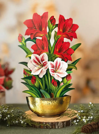 FreshCut Paper Flowers & Card