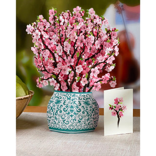 FreshCut Paper Flowers & Card